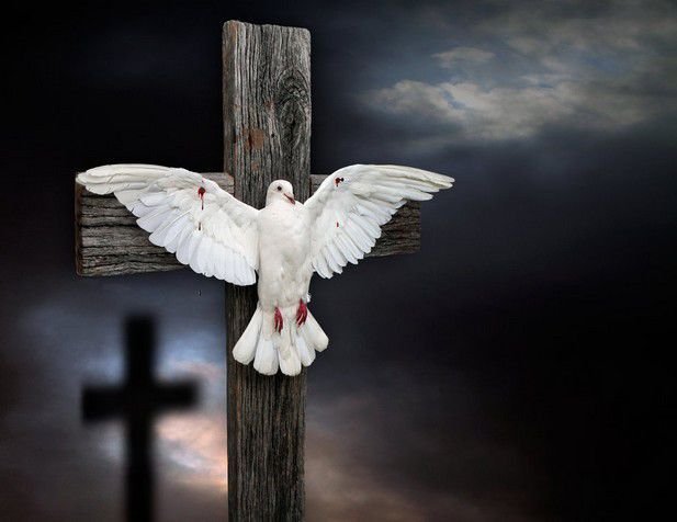 ©2010-2017 JulieMavros